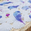 Alfombra de goma 38*68cm EXPRESOL