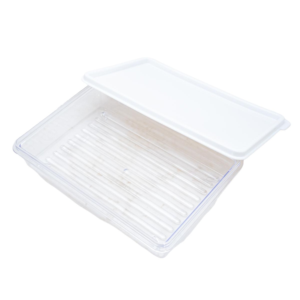 Táper trasparente con tapa 18.5*12cm