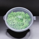 Musgo verde en frasco