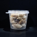 Mini caracol en frasco