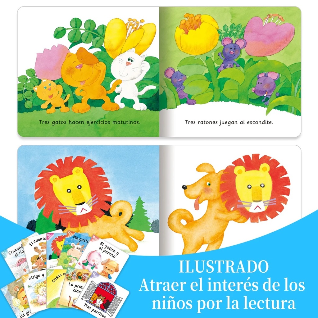 libro de cuento surtido la Ud.