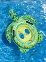 Salvavida tortuga 65cm