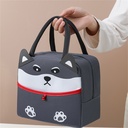 Bolso térmico infantil 20*23cm