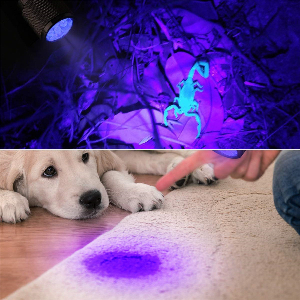 Linterna led Ultra Violeta 50led