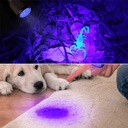 Linterna led Ultra Violeta 50led