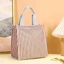 Bolso térmico diseño surtido