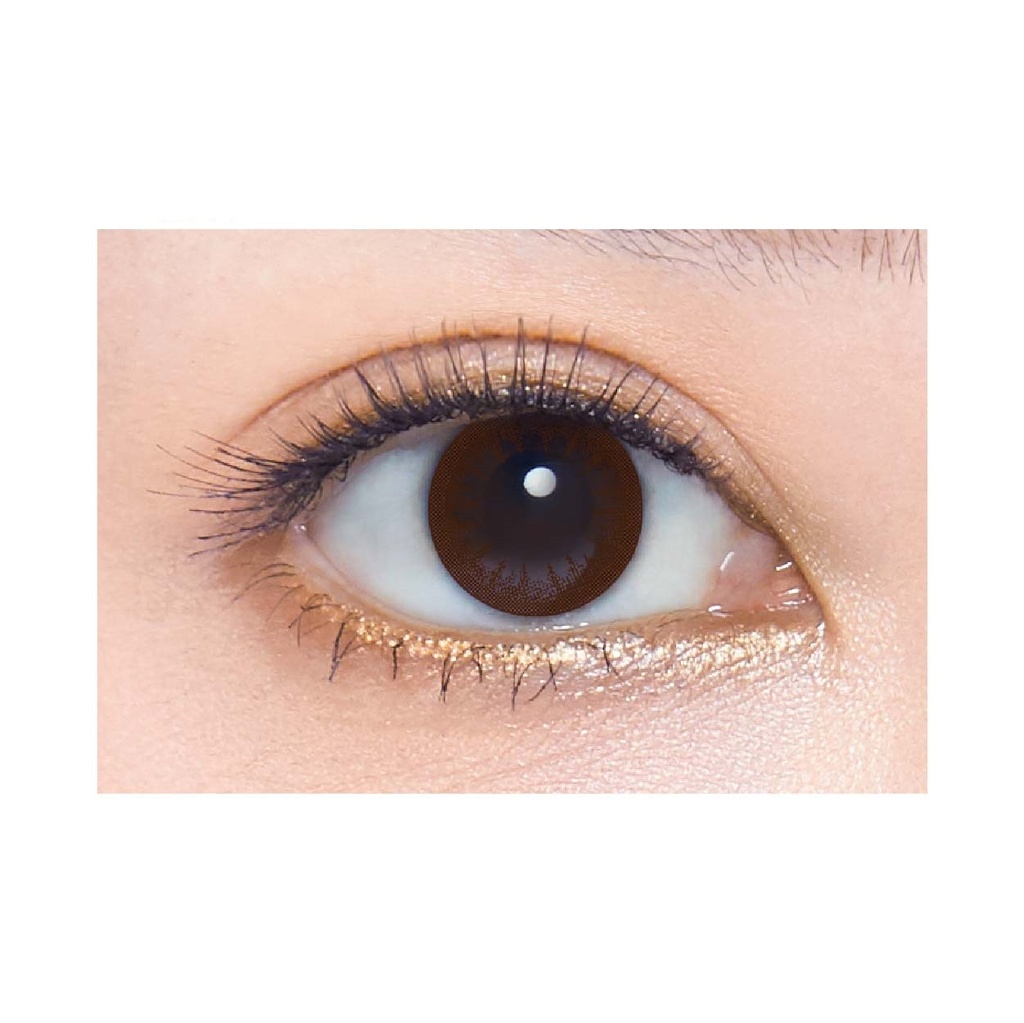 Lente de contacto desechable 10pc "Brown" HYDRON