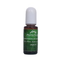 Tinte translucido 10ml verde jadeite