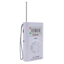 Radio de mano KALADE
