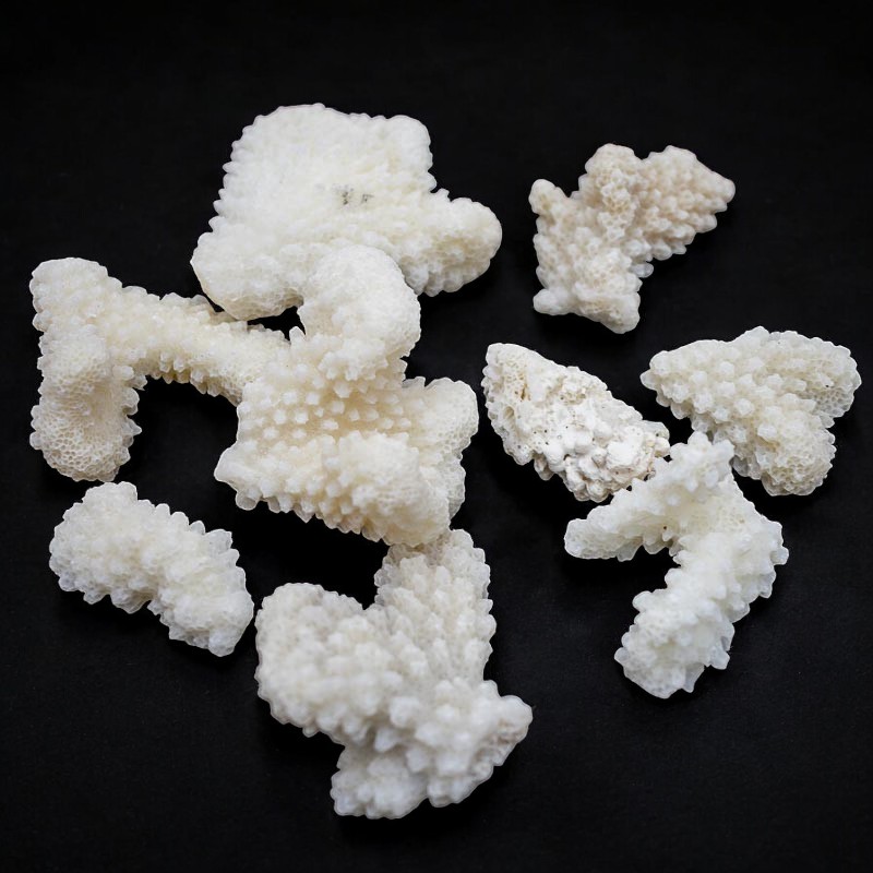 Piedras de mar