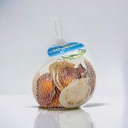 Caracol de mar surtido
