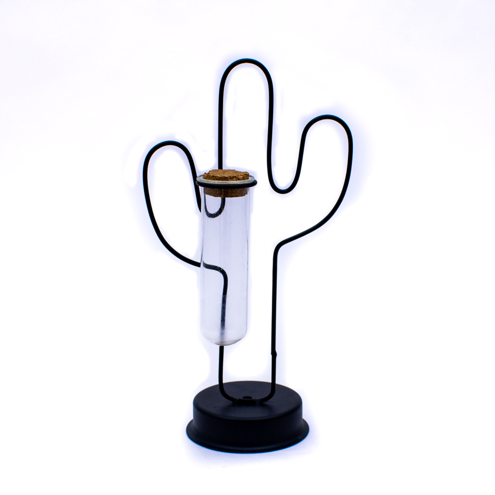 Porta planta con forma cactus