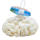 Caracoles de mar
