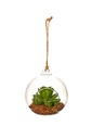 Florero terrario de vidrio para colgar 10cm