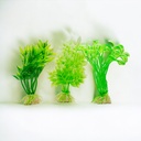 Planta para pecera