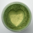Pigmentos mica powder 20g Bronze Green (31)