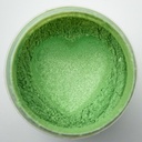 Pigmentos mica powder 20g Glitter Green (48)