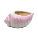 Maceta forma de caracol 9.5*7.5*1cm
