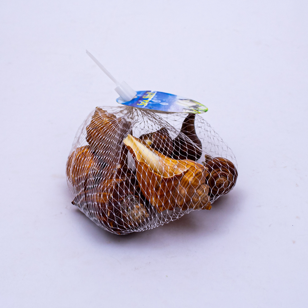 Caracol de mar 100g