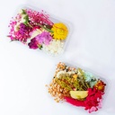 Flor seca de bricolage surtido