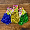 Pom pom animadora