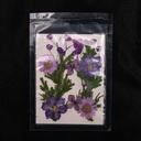 Flor seca tono mix