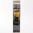 Set de pincel punta angular 5pc GIORGIONE