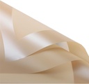 Papel coreano liso 57*57cm 20 hojas