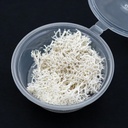 Musgo blanco en frasco