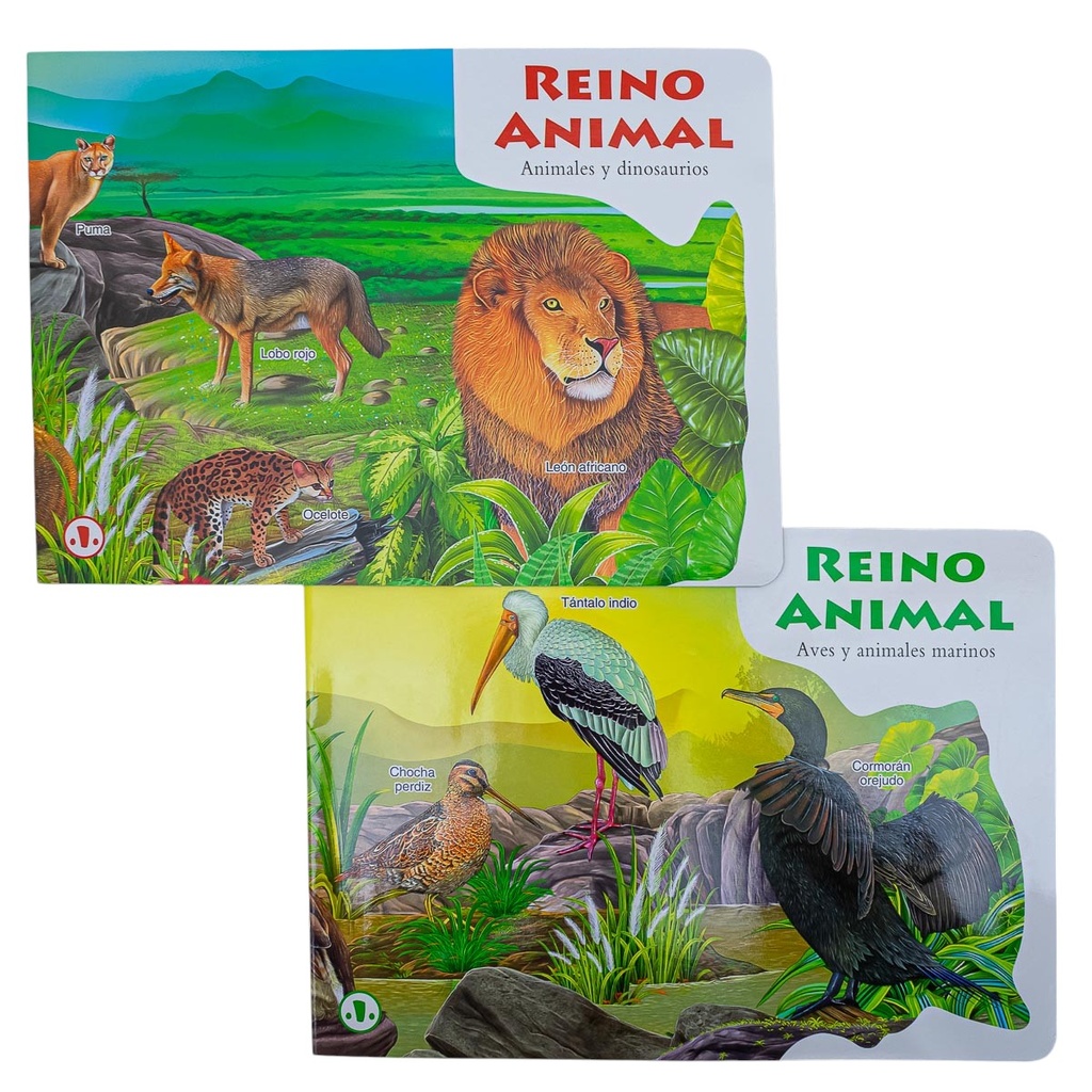 Libro de aprendizaje