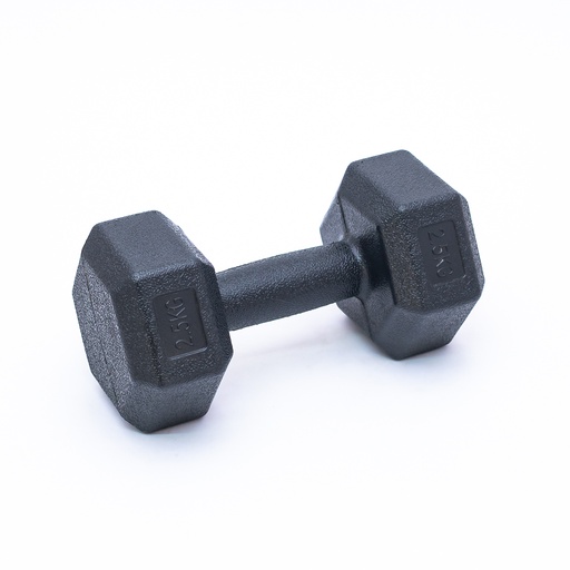 [90097] Mancuerna 2.5kg