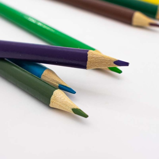 [72796] Lápiz de 12 Colores