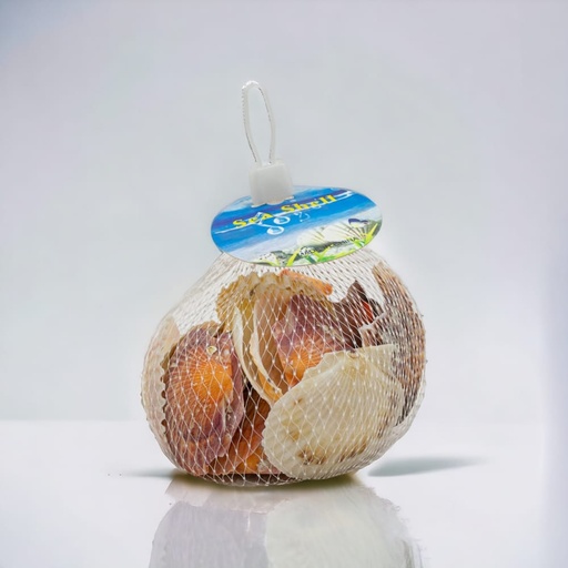 [51137] Caracol de mar surtido
