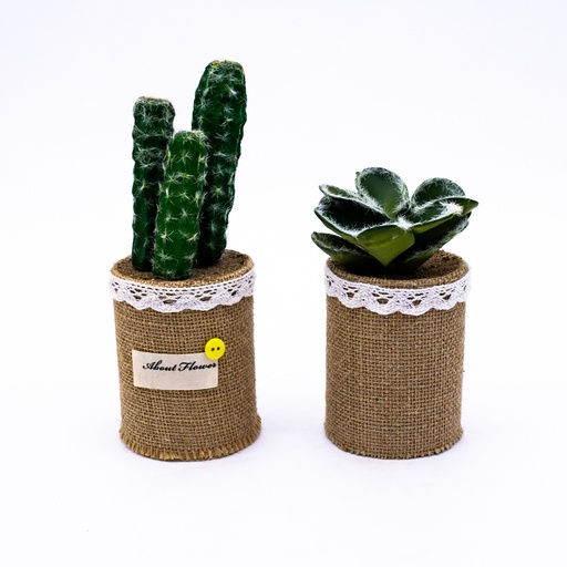 [80914] Planta cactus con florero arpillera ud.