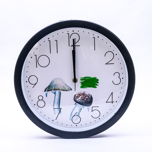 [70876] Reloj Redondo 32cm