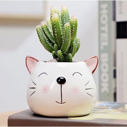[99194] Maceta diseño gatito 7*9cm