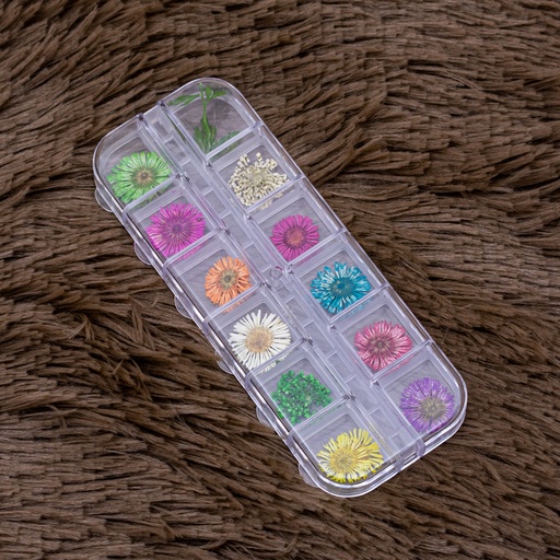[DY200] Flor seca 12 compartimiento (24pc)