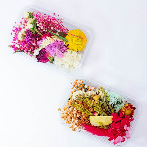 [92814] Flor seca de bricolage surtido