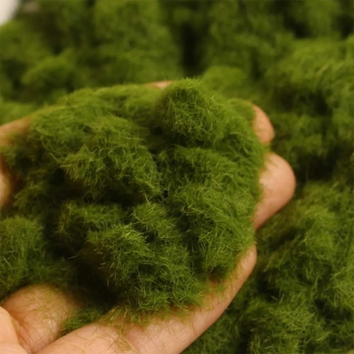 [31904] Polvo de hierba estatica verde musgo 30g