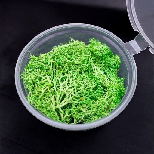 [32063-3] Musgo verde en frasco