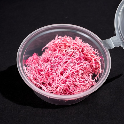 [32063-4] Musgo rosa en frasco